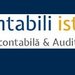 Contabili isteti - Servicii contabilitate